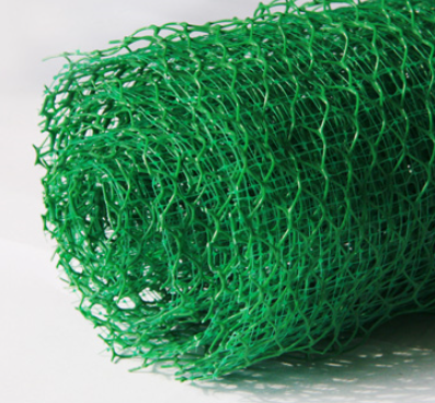 ���Sֲ���W